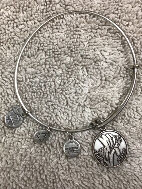 Alex and Ani Sister Lily Charm Bangle Bracelet